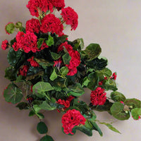 Artificial Red Geranium Hanging Basket